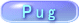Pug